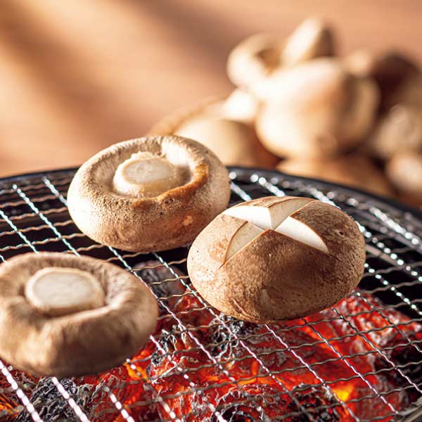 トップバリュ グリーンアイオーガニック 福島県産(いわき椎茸出荷組合)オーガニック生しいたけ(菌床栽培)ギフト 大【夏の贈りもの・お中元】　商品画像1