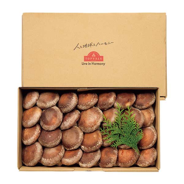 トップバリュ グリーンアイオーガニック 北海道産(清田しいたけファーム)オーガニック生しいたけ(菌床栽培)ギフト 大【夏の贈りもの・お中元】　商品画像1