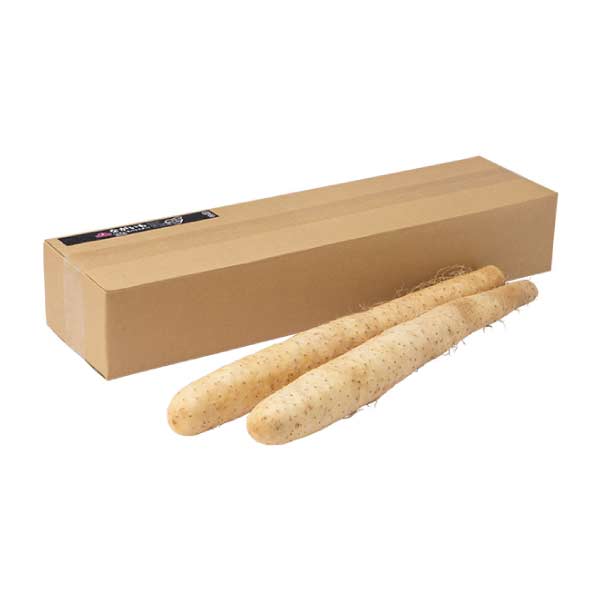 トップバリュ 青森県産ネバリスター(長いも)ギフト【夏の贈りもの・お中元】　商品画像1