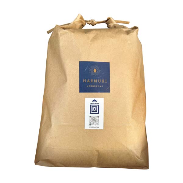 山形県産米(はえぬき)【冬の贈りもの・お歳暮】[B28-8]　商品画像1