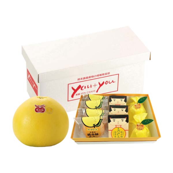 熊本県産 八代晩白柚セット(お届け期間：12/3〜12/30)【冬の贈りもの・お歳暮】　商品画像1