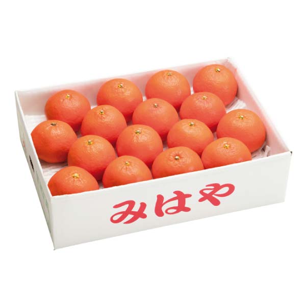 熊本県産 みはや(お届け期間:12/1〜12/15)【冬の贈りもの・お歳暮】 商品画像1