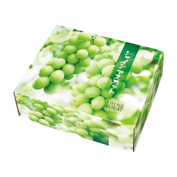 長野県産 冷蔵シャインマスカット(お届け期間：11/21〜12/20)【冬の贈りもの・お歳暮】　商品画像1