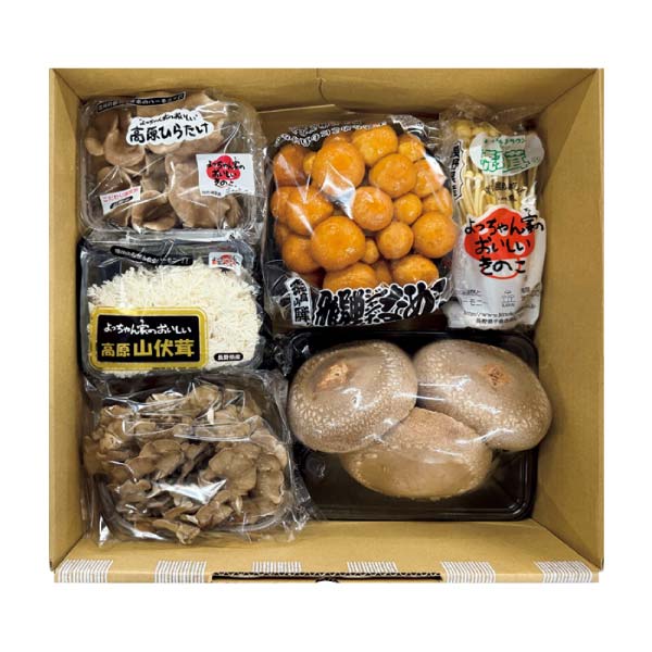 三ツ星しいたけとこだわりのきのこセット(お届け期間：11/21〜12/28