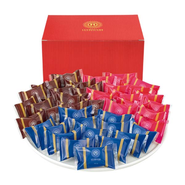 銀座京橋 レ ロジェ エギュスキロール ショコラアイスボール【夏の贈りもの・お中元】[AH-RSB]　商品画像1