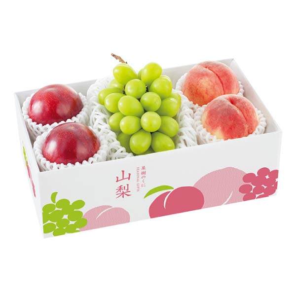 山梨県産 果樹のくに山梨 夏果実の詰合せ(お届け期間：7/22〜8/8)【夏の贈りもの・お中元】[HC-YMP]　商品画像1