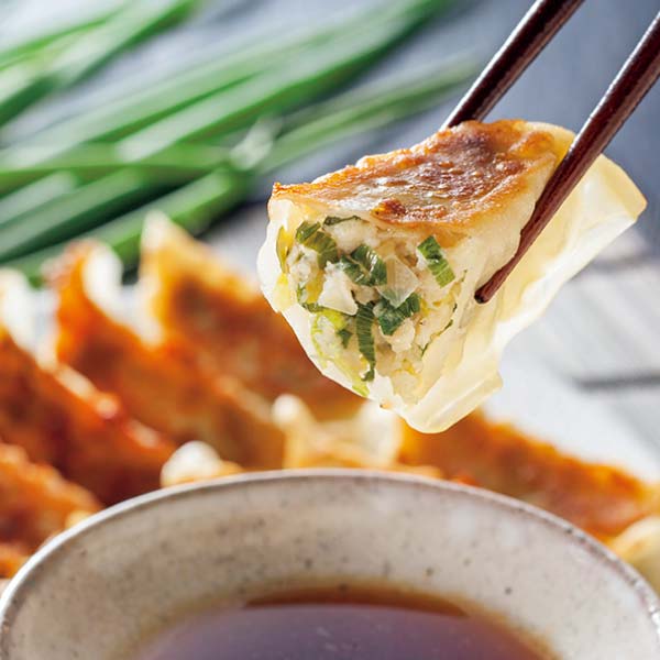 九条ねぎ餃子【冬の贈りもの・お歳暮】[KF-NG]　商品画像1