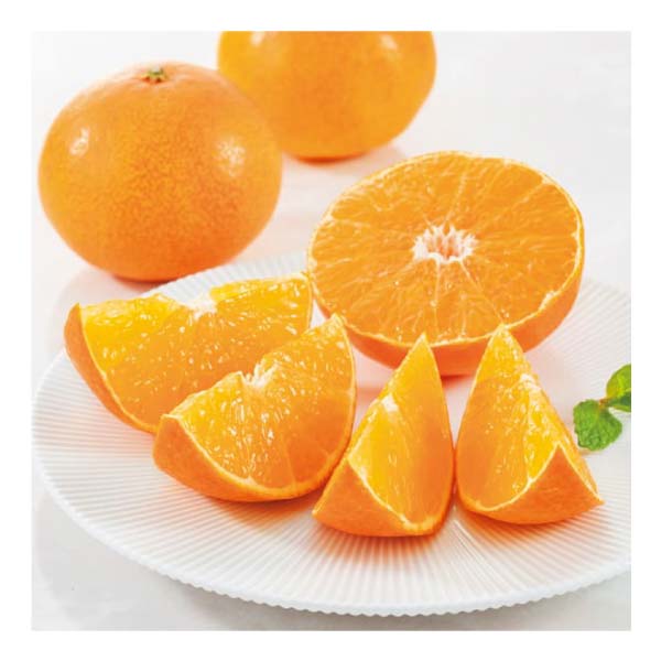 愛媛県産 紅まどんな(お届け期間：12/1〜12/21)【冬の贈りもの・お歳暮】[H-MDQ]　商品画像1
