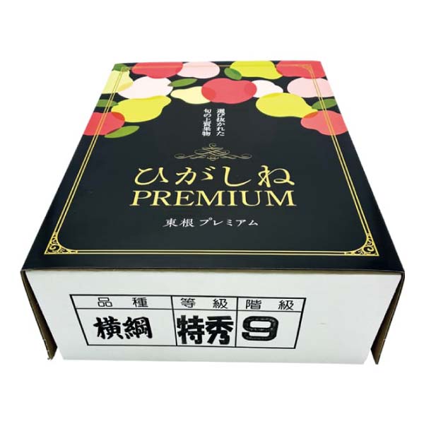山形県産(JAさくらんぼ東根) ラ・フランス(ひがしねPREMIUM横綱)(お届け期間：11/21〜12/23)【冬の贈りもの・お歳暮】　商品画像1