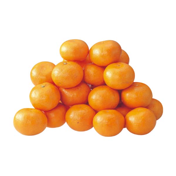 愛媛県産(JA西宇和八幡浜共選) 濱ノ姫(はまのひめ)みかん(お届け期間：11/21〜12/31)【冬の贈りもの・お歳暮】　商品画像1