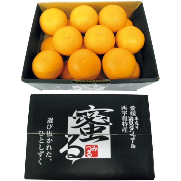 愛媛県産 蜜る清見オレンジ【母の日】　商品画像1