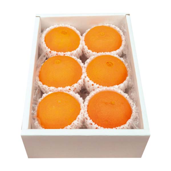 愛媛県産 紅まどんな(お届け期間:11/21〜12/31)【冬の贈りもの・お歳暮】 商品画像1