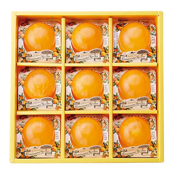 小南農園 田村みかんフルーツまるごとゼリーセット9個入【夏の贈りもの・お中元】[MTS-9]　商品画像1