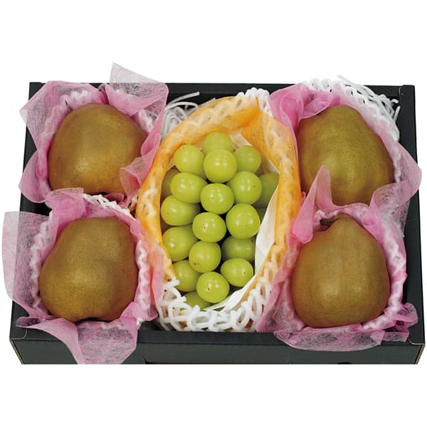 山形県産 シャインマスカットとゴールドラ・フランス(お届け期間：11/11〜12/31)【冬の贈りもの・お歳暮】　商品画像1