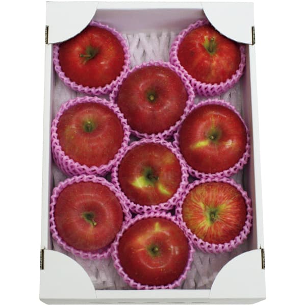 青森県産(藤崎町) サンふじ(お届け期間:11/21〜12/31)【冬の贈りもの・お歳暮】 商品画像1