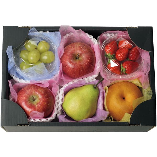 福島県、山形県、宮城県、青森県産 東北ウインターフルーツアソート(お届け期間:11/21〜12/31)【冬の贈りもの・お歳暮】 商品画像1