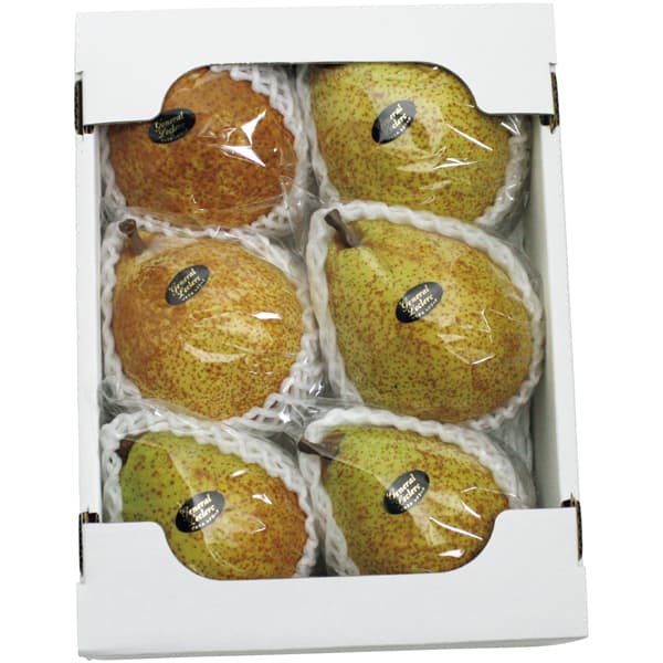 福島県産(伊達市) 洋なし(ゼネラル・レクラーク)(お届け期間:11/21〜12/31)【冬の贈りもの・お歳暮】 商品画像1