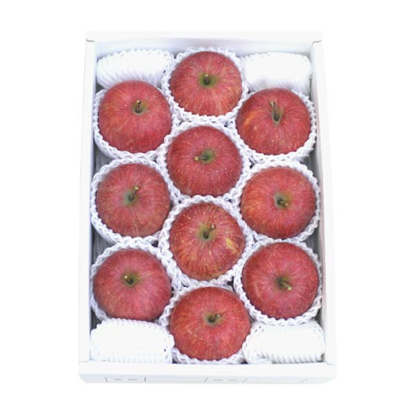 福島県産(JAふくしま未来) 光センサー選果サンふじりんご 3kg(お