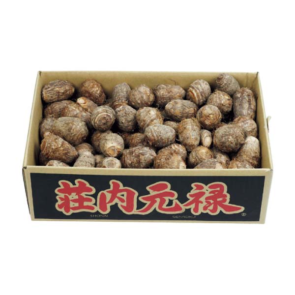 山形県産(庄内砂丘地) 土つき里芋「荘内元禄」(お届け期間：12/1〜12/31)【冬の贈りもの・お歳暮】　商品画像1