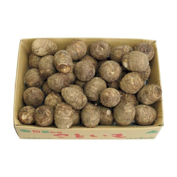 山形県産 どだれ里芋(お届け期間：11/11〜12/31)【冬の贈りもの・お歳暮】　商品画像1