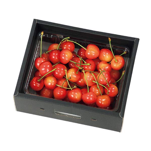 山形県産 さくらんぼ 「佐藤錦」又は「紅秀峰」(お届け期間：6/11〜7/4)【夏の贈りもの・お中元】　商品画像1