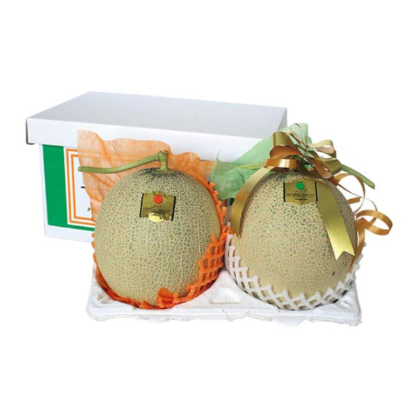 山形県産(酒田市) 庄内砂丘メロンセット「雅」(お届け期間：7/5〜8/10)【夏の贈りもの・お中元】　商品画像1