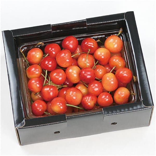 山形県産 さくらんぼ(佐藤錦又は紅秀峰)500g【父の日】 商品画像1