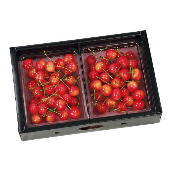 山形県産 さくらんぼ(佐藤錦)(お届け期間：6/11〜6/30)【夏の贈りもの・お中元】　商品画像1