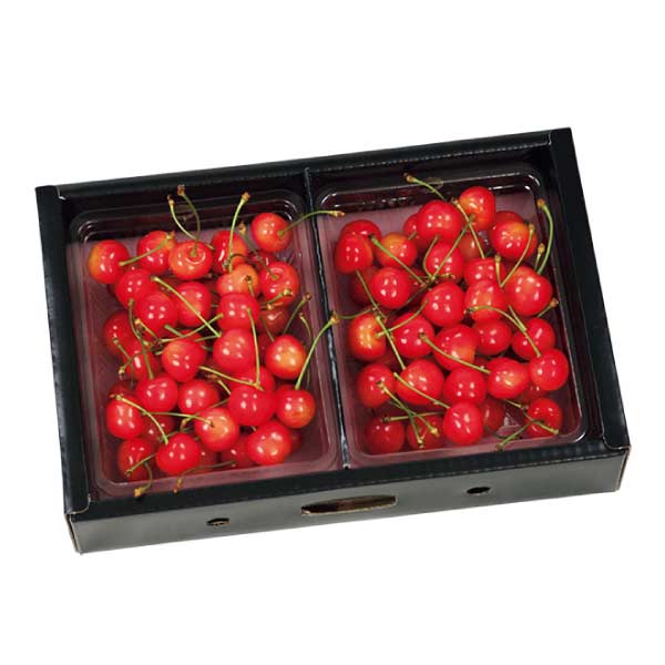 山形県産 さくらんぼ(佐藤錦又は紅秀峰)(お届け期間：6/15〜7/5)【夏の贈りもの・お中元】　商品画像1