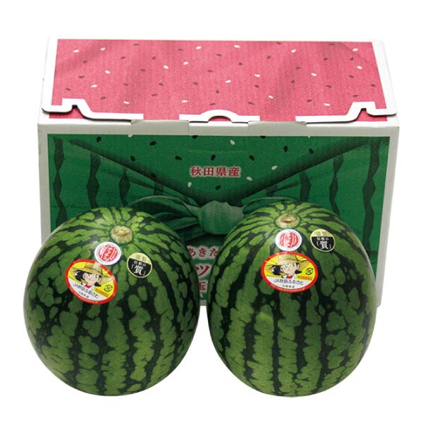 秋田県産(JA秋田ふるさと) あきた夏丸チッチェ(お届け期間：7/21〜8/15)【夏の贈りもの・お中元】　商品画像1