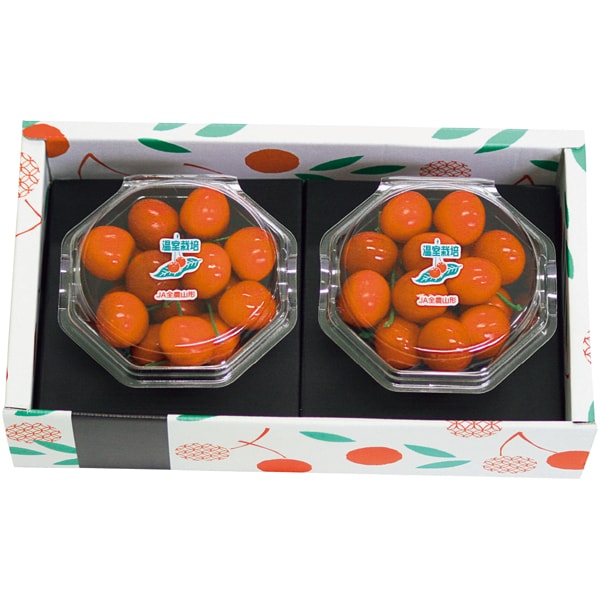 山形県産 さくらんぼ(佐藤錦)100g×2【母の日】 商品画像1