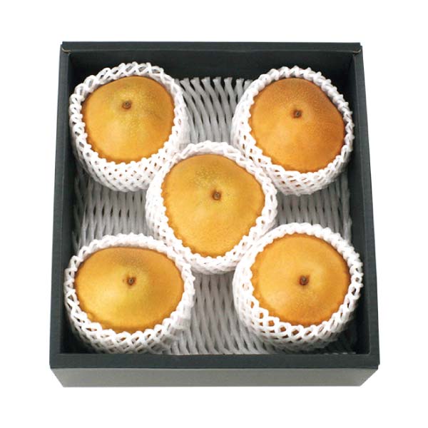 福島県産 初冬の大玉なし「王秋(おうしゅう)」(お届け期間：11/15〜12/31)【冬の贈りもの・お歳暮】　商品画像1