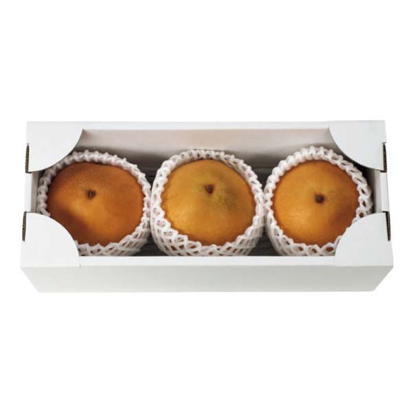 福島県産 大玉梨「王秋(おうしゅう)」(お届け期間：11/11〜12/31)【冬の贈りもの・お歳暮】　商品画像1