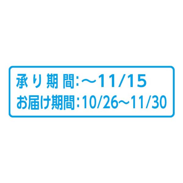 山形県産 無臭ジャンボにんにく(お届け期間:10/26〜11/30)【冬の贈りもの・お歳暮】 商品画像1