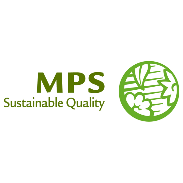 タカハシプランテーション カーネーション「ピーチキャンドル」(SUSTEE付)【母の日】 商品画像1