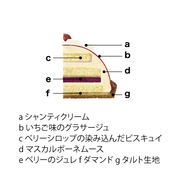 シーキューブ いちごのサンタドーム 【イオンのクリスマス】　商品画像1