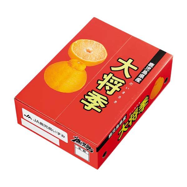 鹿児島県産(JA鹿児島いずみ) 大将季(お届け期間：12/5〜12/30)【冬の贈りもの・お歳暮】　商品画像1
