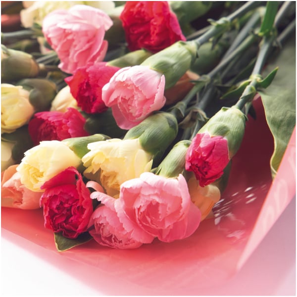 竹中庭園緑化 彩りカーネーションブーケ【母の日】 商品画像1