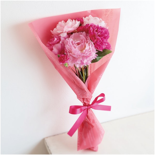 竹中庭園緑化 しゃくやく5種のおくりもの【母の日】 商品画像1