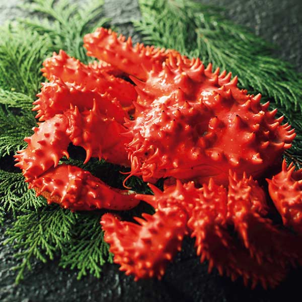 北海道根室産 北海道根室産ボイル花咲がに姿【夏の贈りもの・お中元】[1765]　商品画像1