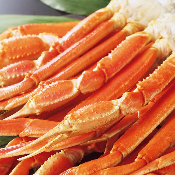 ボイルずわいがに肩【冬の贈りもの・お歳暮】 商品画像1