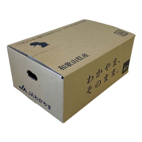 和歌山県産(JAわかやま) ゆら早生プレミアム小玉みかん3kg(お届け期間：11/11〜11/30)【冬の贈りもの・お歳暮】　商品画像1