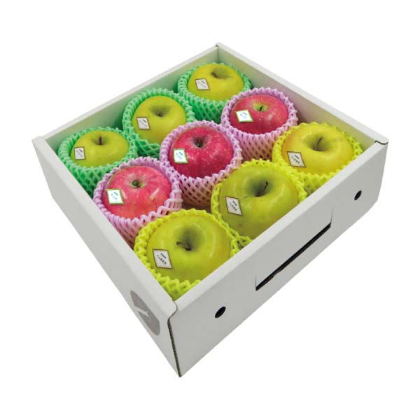 青森県産 高糖度選果・サンふじりんごとぐんま名月、シナノゴールド詰合せ(お届け期間：11/21〜12/31)【冬の贈りもの・お歳暮】　商品画像1