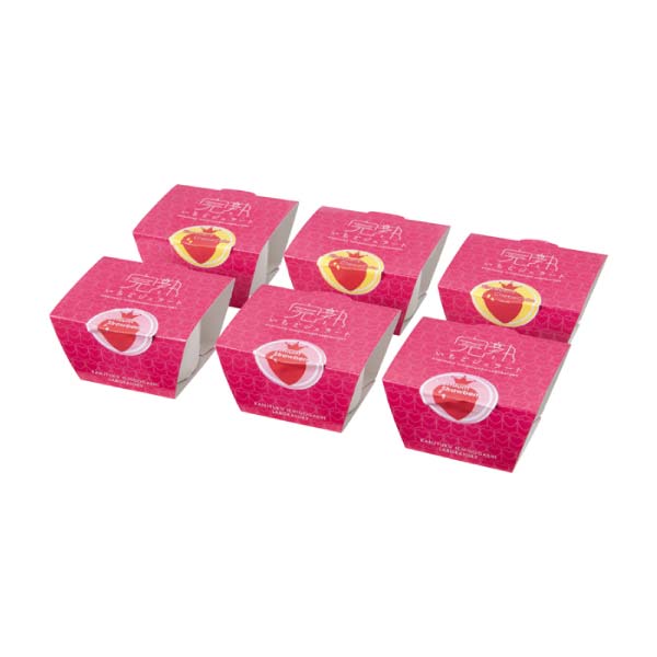 完熟いちご菓子研究所 完熟いちごジェラート6個【冬の贈りもの・お歳暮】[KT-200691]　商品画像1