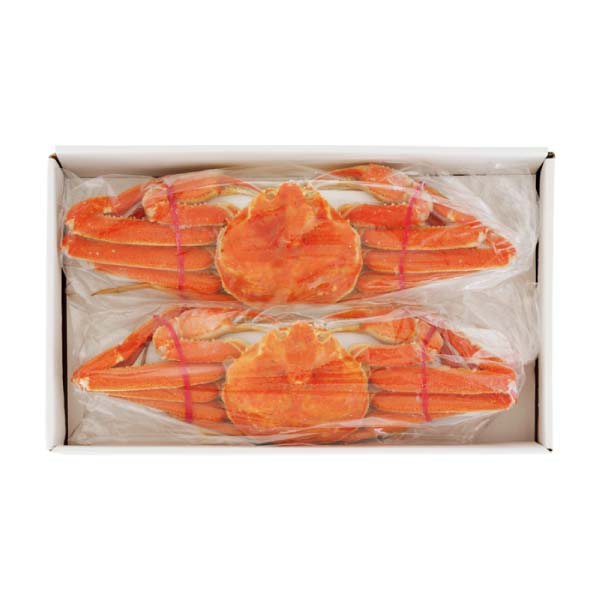 北海道産 浜茹でおおずわいがに姿2尾【冬の贈りもの・お歳暮】 商品画像1