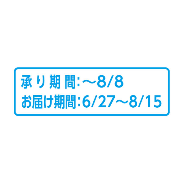 北海道産(JAふらの) ふらのメロン 秀品(お届け期間：6/27〜8/15)【夏の贈りもの・お中元】　商品画像1