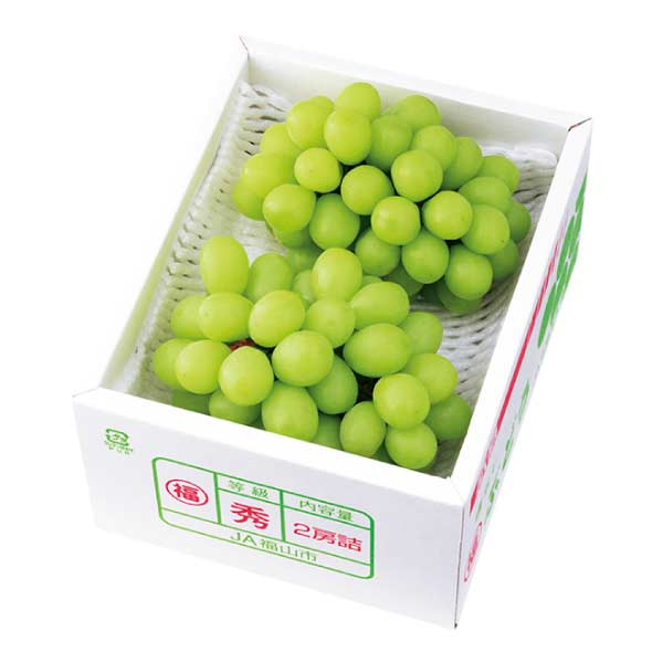 広島県産 広島シャインマスカット(お届け期間：8/3〜8/15)【夏の贈りもの・お中元】　商品画像1