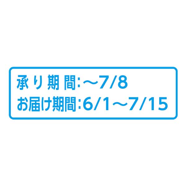 宮崎県産 太陽のタマゴ大玉(お届け期間：6/1〜7/15)【夏の贈りもの・お中元】　商品画像1