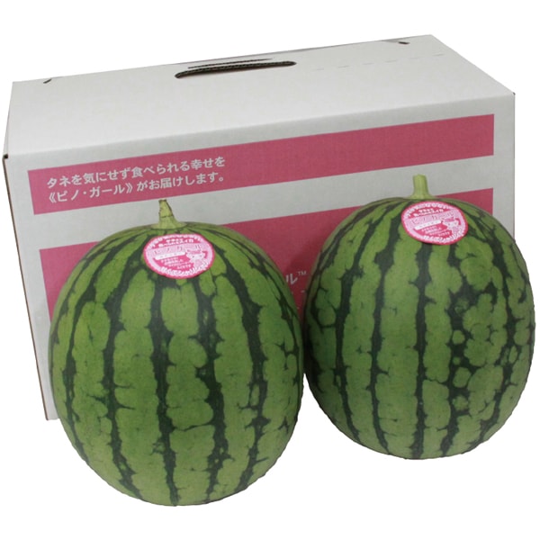 長崎県又は熊本県又は和歌山県産 ピノガール2玉【父の日】 商品画像1