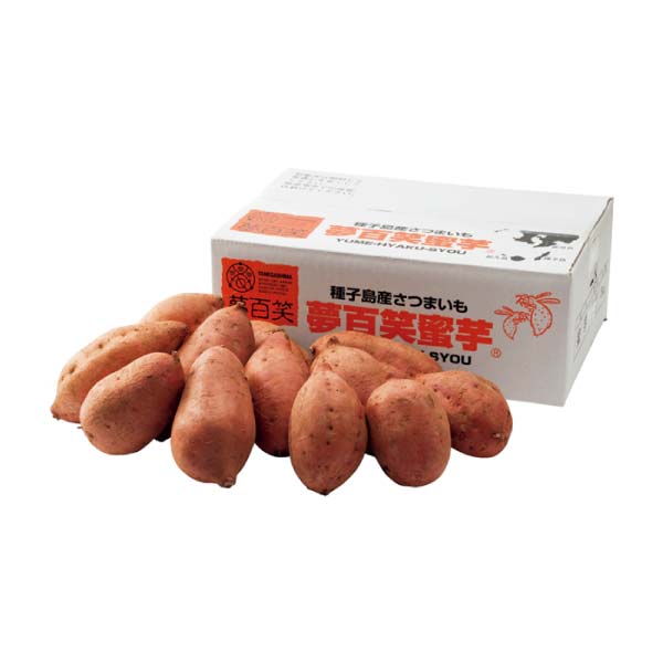 鹿児島県産 種子島 夢百姓安納芋3kg(お届け期間:11/11〜12/31)【冬の贈りもの・お歳暮】 商品画像1